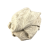ręcznik-lniany-botanica-2.png
